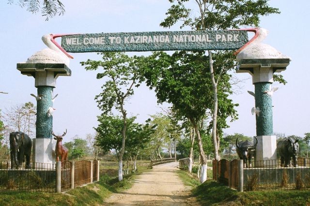 Guwahati Kaziranga Shillong 4 Nights 5 Days Trip - Banner