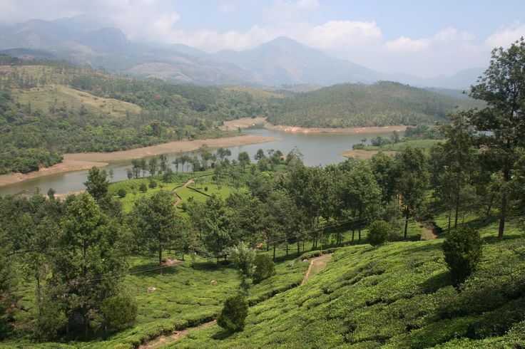 Kerala Delight – Hills, Wildlife & Backwaters Tour - Banner