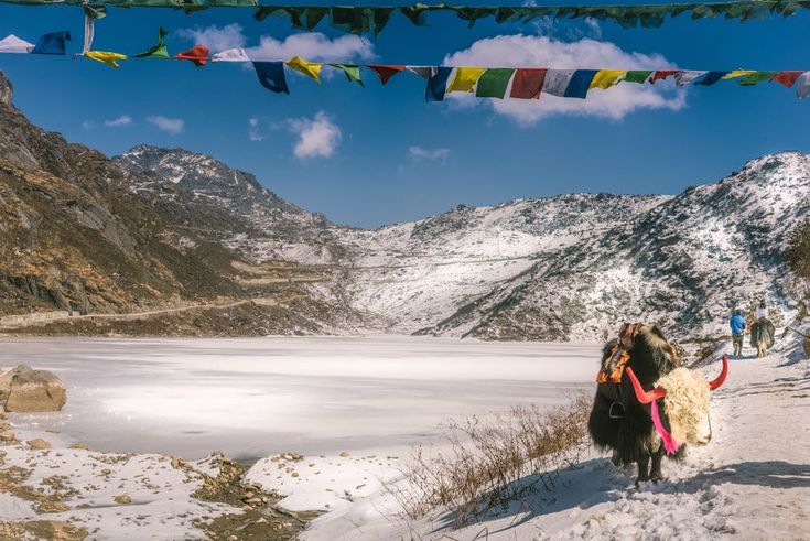 Darjeeling Gangtok Darjeeling Trip 4N/5Days