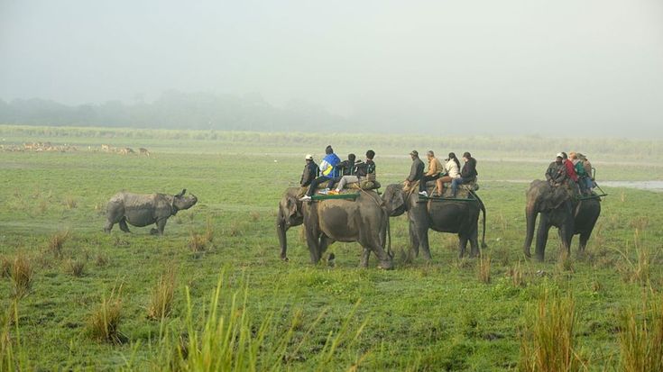 Guwahati Kaziranga Shillong 8 Nights 9 Days Trip