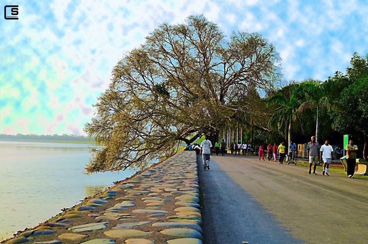 Himachal Tour – Chandigarh 1N, Manali 2N, Shimla 1N